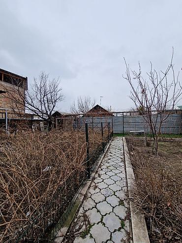 Продажа коттеджей и домов: ​Продаю дом + участок! ​Идеальное место для жизни и прибыльного дела — 4