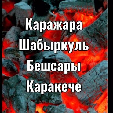 Другие услуги: КараКече Беш Сары Шабыркуль Доставка По Городу