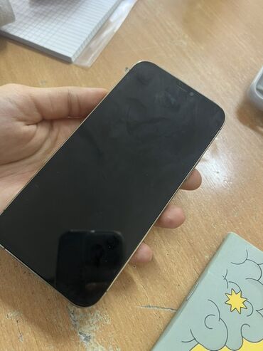 Apple iPhone: IPhone 12 Pro, Б/у, 256 ГБ, Серебристый, Чехол, 69 %