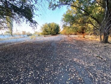 Продажа участков: 12 соток, Для строительства, Красная книга — 4