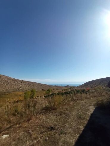 Продажа участков: 1800 соток, Для бизнеса, Красная книга at lalafo.kg — 11 Продажа участков: 1800 соток, Для бизнеса, Красная книга — 11