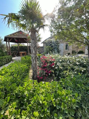 Bağ evlərinin kirayəsi: 100 kv. m, 2 otaqlı, Hovuzsuz — 6