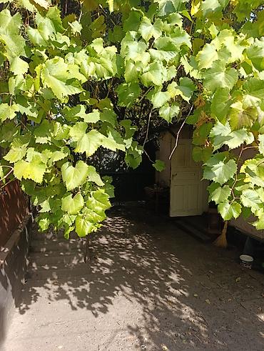 Продажа коттеджей и домов: 📌В селе Беловодское в районе центра продается дом из 4-х комнат на at lalafo.kg — 13 Продажа коттеджей и домов: 📌В селе Беловодское в районе центра продается дом из 4-х комнат на — 13