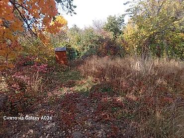 Продажа участков: 4 соток, Красная книга — 9