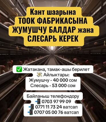 малчы бишкек: Талап кылынат Канаттуу куш багуучу, Төлөм Келишим түрдө, Окутуу