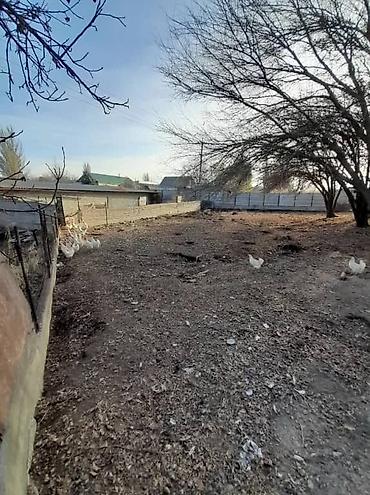 Продажа участков: 18 соток, Для бизнеса — 3