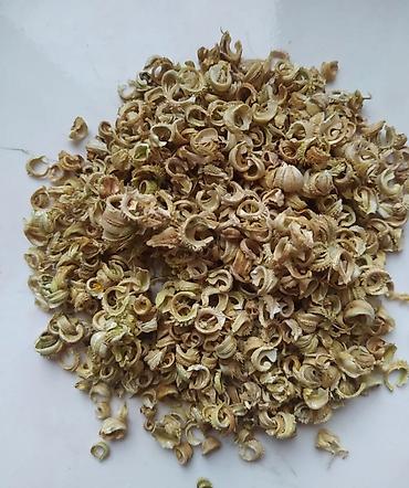 Томат: Семена томата «Гигант мясистый» (розово‑красный бифтомат, салатного — 8