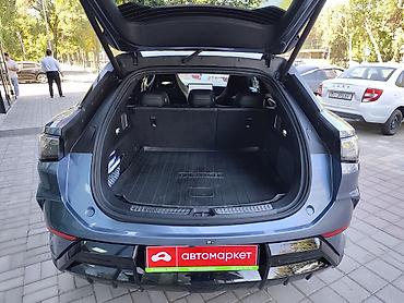 вас 07: BYD Sea Lion 07: 2024 г., Электромобиль — 9