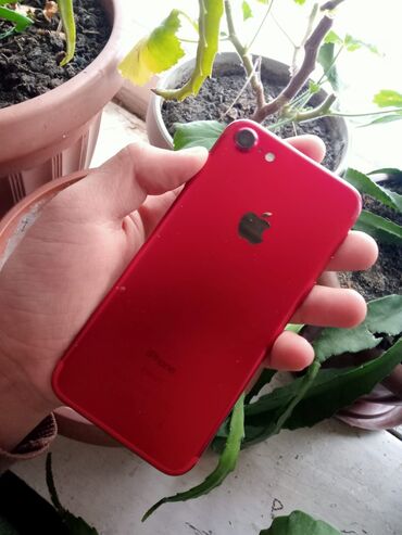 айфон 7 рлюс: IPhone 7, Б/у, 128 ГБ, Красный, Наушники, Чехол, Кабель, 100 %