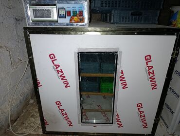 islenmis skaf: 600 yumurta, Azərbaycan, Tam avtomat, Bütün növ quşlaq üçün