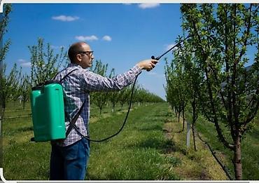 Опрыскиватели: Опрыскиватель Ранцевый — 1