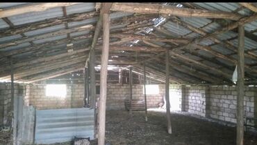 Torpaq sahələrinin satışı: 82 sot, Kənd təsərrüfatı, Mülkiyyətçi, Kupça (Çıxarış) — 7