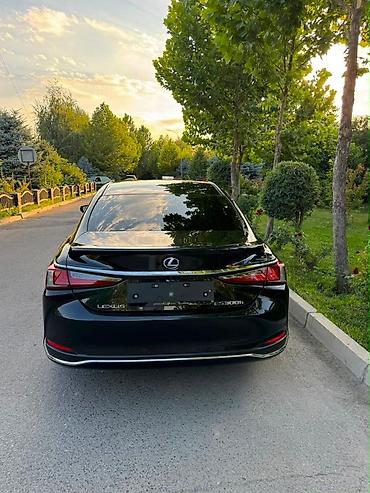 lexus sedan: Lexus ES: 2022 г., Седан — 6