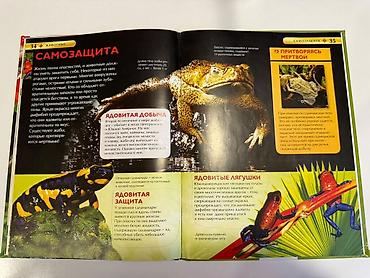 водный мир: Детская энциклопедия «Животные» Иллюстрированная книга о мире — 3