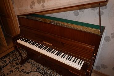 klaviş: Piano, Zimmermann, Akustik