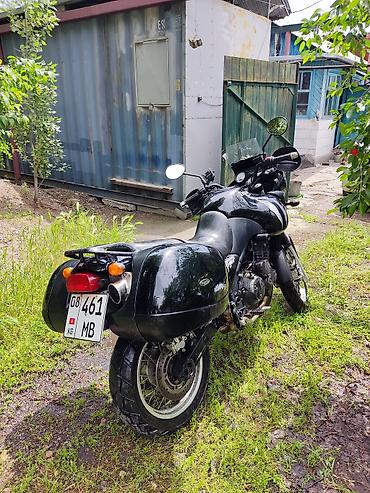 range over: Мотоцикл тур-эндуро Triumph Tiger 955i 2003год Пробег: 20396 В — 3
