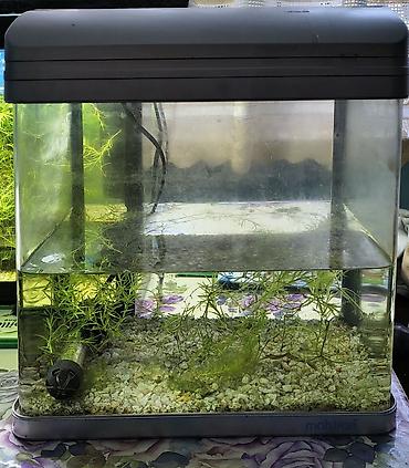 akvarium qızdırıcı: Dördbucaq akvarium, Boş, 20 l — 1