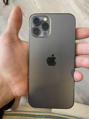 Apple iPhone: IPhone 12 Pro, Graphite, Face ID