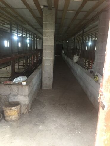 Продажа домов: Дом, 130 м², 6 комнат, Собственник — 8