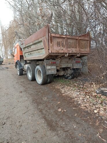 Грузовики: Грузовик, Камаз, Стандарт, Б/у — 10