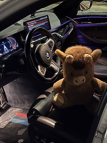 m 5: BMW 530: 2021 г., 2 л, Автомат, Бензин, Седан — 6