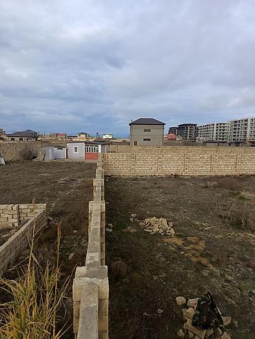 sabuncuda: 12 sot, Tikinti, Kupça (Çıxarış) — 6