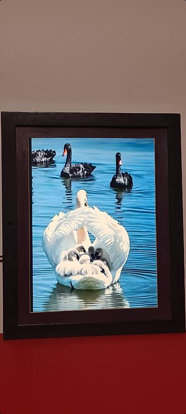 Slike i ramovi: ▪︎ Digitalni foto‑ram sa ekranom u drvenom ramu: Compositor — 10