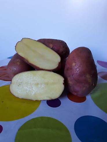 Удобрения и садовая химия: Удобрение Самовывоз — 20