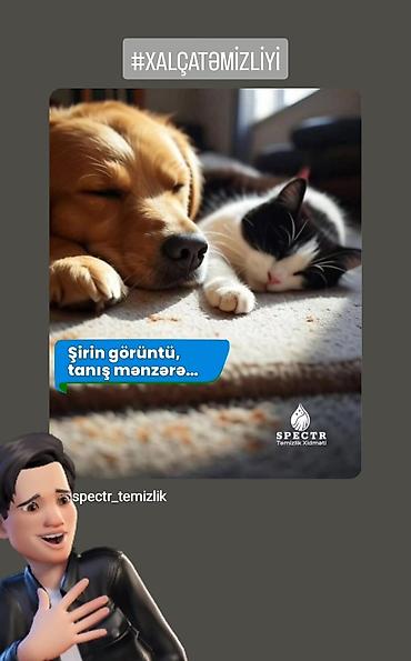 Təmizlik xidmətləri: Təmizlik | Evlər | Ümumi təmizlik — 5