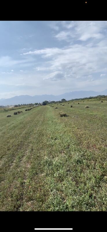 продаю дом село пригородное: 900 соток, Для бизнеса, Красная книга