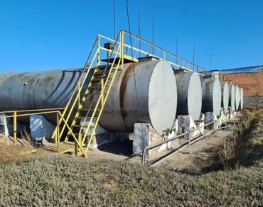 инкубатор для рыбы: Цистерна