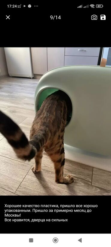 Зоотовары: Кошачий туалет — 5