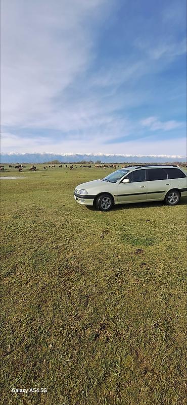 e53 amg: Toyota : 1999 г., 1.8 л, Механика, Бензин, Универсал — 1
