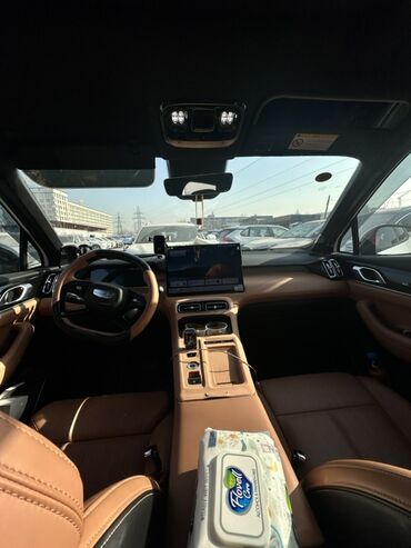 Geely: Geely Atlas Pro: 2024 г., 1.5 л, Робот, Бензин, Кроссовер — 12