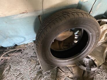 шин 185 70 14: 1шт зима протектор 90% под запаску, отдаю Иза ненадобности только