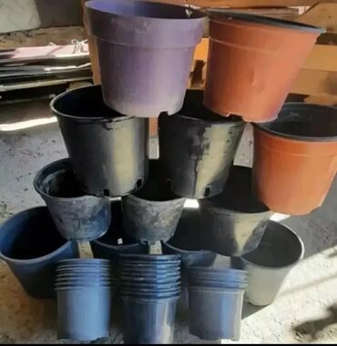 Bitkilər üçün dibçəklər: Plastik,kauçuk gül və dibçək qabları satılır. Cəmisi 60 — 4