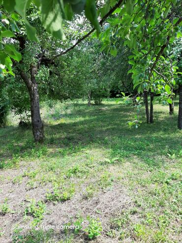 Torpaq sahələrinin satışı: 10 sot, Tikinti, Mülkiyyətçi, Kupça (Çıxarış) -da lalafo.az — 9 Torpaq sahələrinin satışı: 10 sot, Tikinti, Mülkiyyətçi, Kupça (Çıxarış) — 9