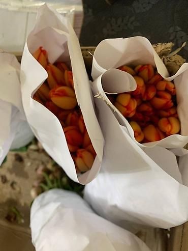 Букеты из живых цветов: В оптомв розницу — 15