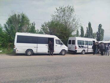 Трансфер, пассажирские перевозки: Аэропорт Такси, легковое авто, Бус, Автобус | 20 мест — 2