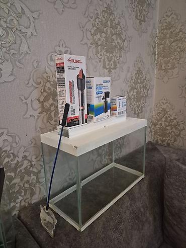 akvarium kompressor: Salam, 2 eded balaca akvaruım ve 3-4 adavanlığları her biri işlek — 1