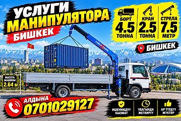 Манипулятор, Mitsubishi