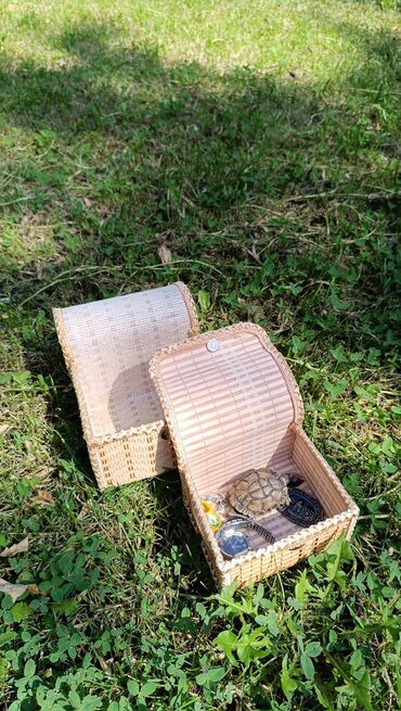 Подсвечники: Декор: декоративный подсвечник на цыпочки 300 декоративный at lalafo.kg — 12 Подсвечники: Декор: декоративный подсвечник на цыпочки 300 декоративный — 12