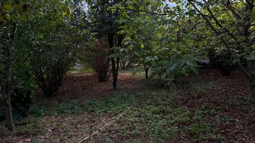 Torpaq sahələrinin satışı: 15 sot, Tikinti, Makler, Kupça (Çıxarış) — 7