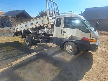 bud e9: Hyundai Porter — компактный самосвал - Тип: малотоннажный бортовой — 1