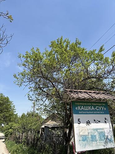 бир: 5 соток, Курулуш, Кызыл китеп — 8