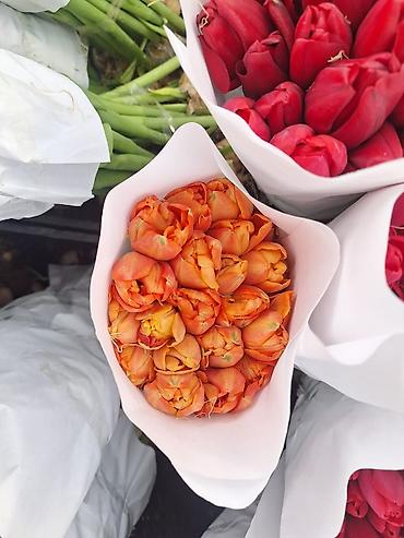 Букеты из живых цветов: Г.Ош оптом и розницу. Тюльпаны с луковицами, срезка «на поле» в — 2