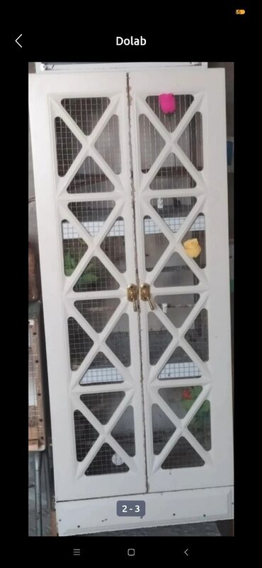 fireng quşu: 3 boyuk gozlu papuqay qəfəsi rahat 3 cut papuqay bulbul nə istəsəniz