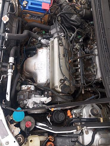 Honda: Honda Odyssey: 1995 г., 2.2 л, Автомат, Бензин, Минивэн — 13