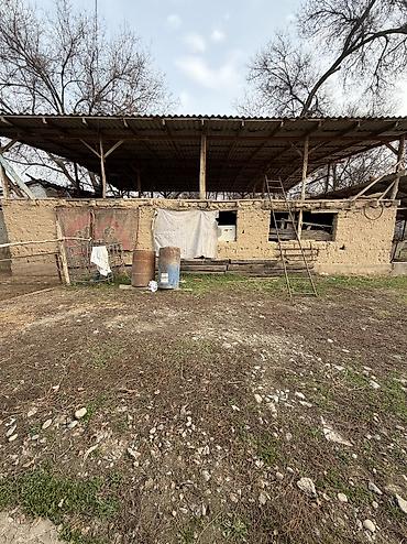 Продажа коттеджей и домов: 📍 В Сокулуке в селе (селекция) продается дом на участке 10 соток (по — 6