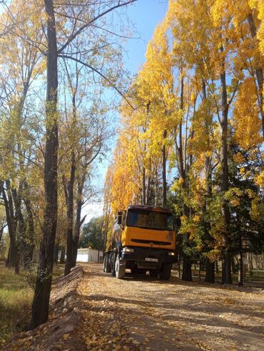 Автобетономешалки: Бетономешалка, Renault, 2004 г. — 6